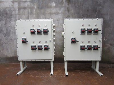 上海日為不銹鋼防爆電器產品圖鑒 防爆配電箱、動力箱與照明箱